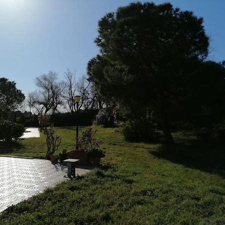 Le Tamerici B&B Ancona Exteriör bild