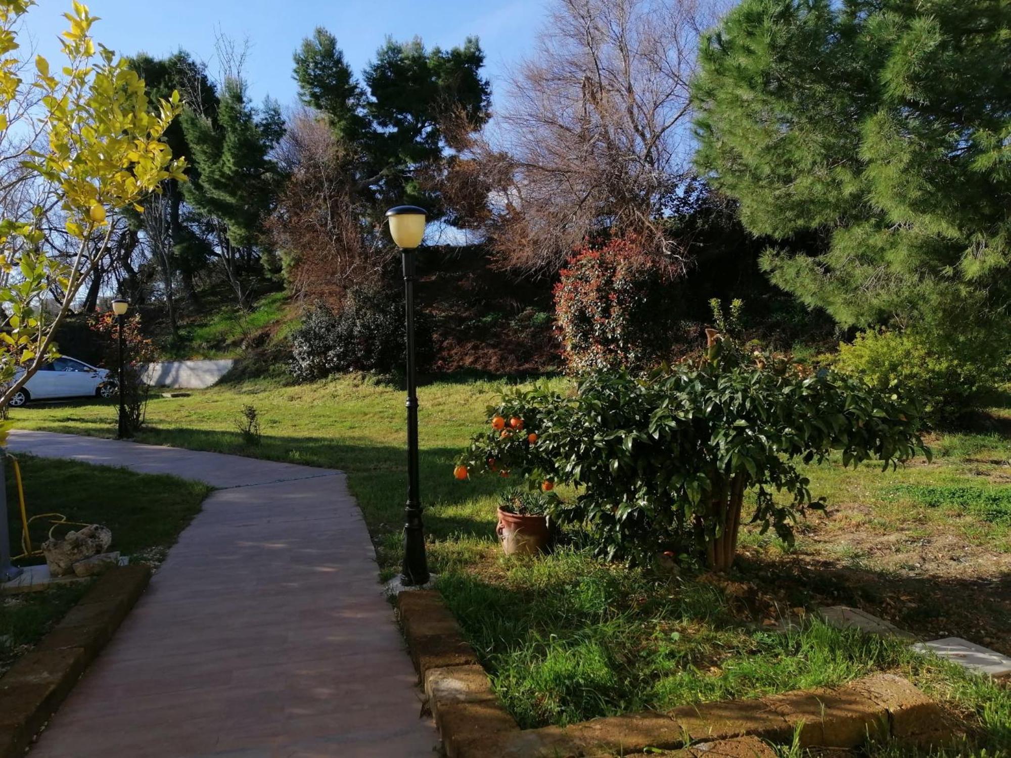 Le Tamerici B&B Ancona Exteriör bild